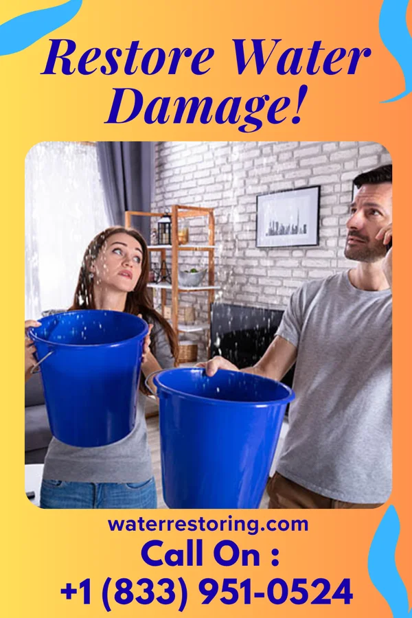 water restoration Quality Flood Mitigation Company Millport