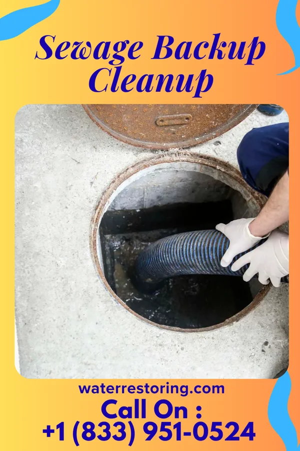Sewage Backup Cleanup in Millport, NY